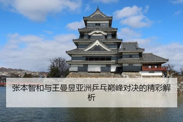 张本智和与王曼昱亚洲乒乓巅峰对决的精彩解析